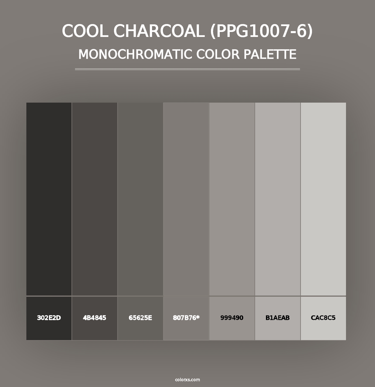 Cool Charcoal (PPG1007-6) - Monochromatic Color Palette