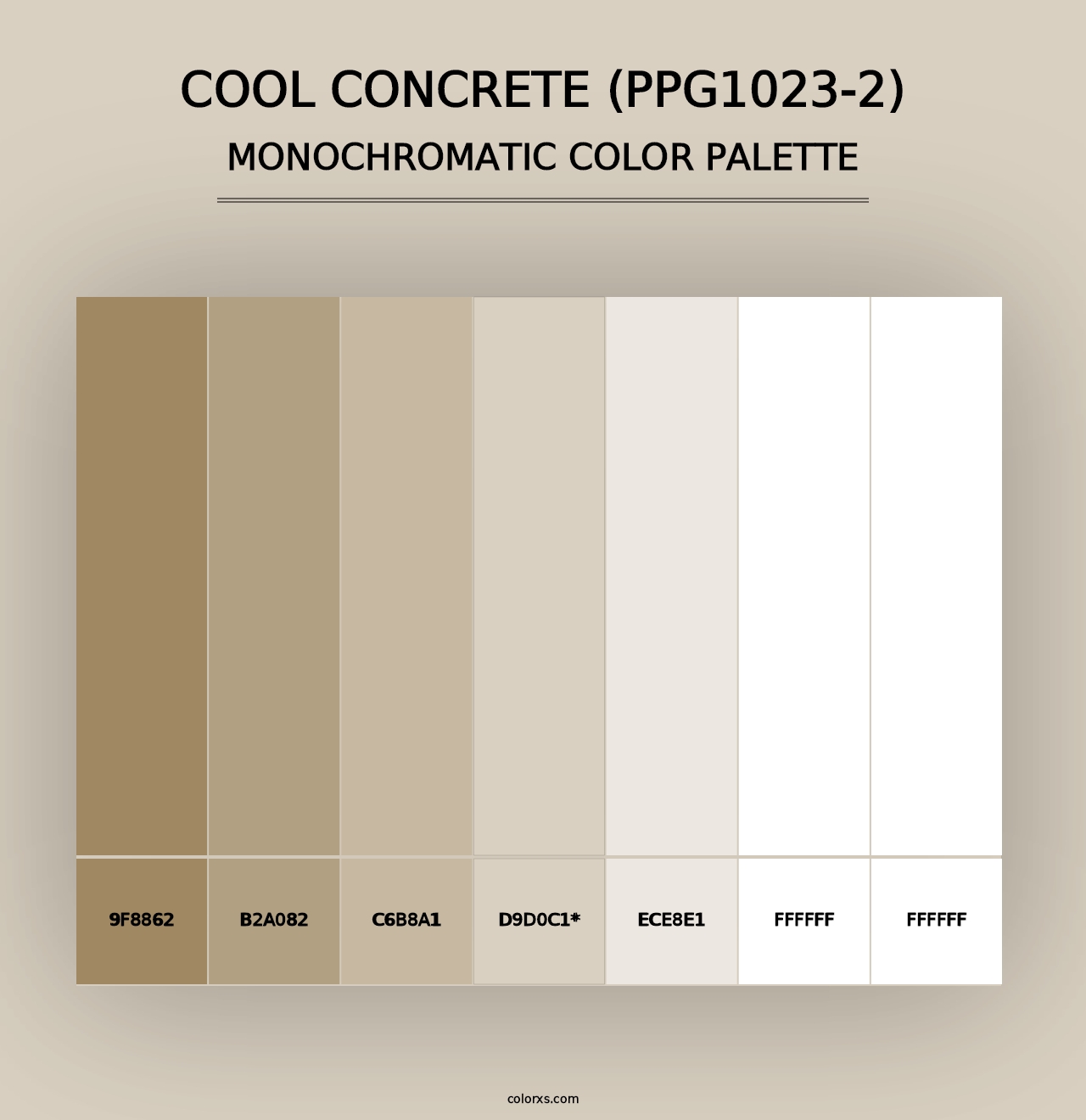 Cool Concrete (PPG1023-2) - Monochromatic Color Palette