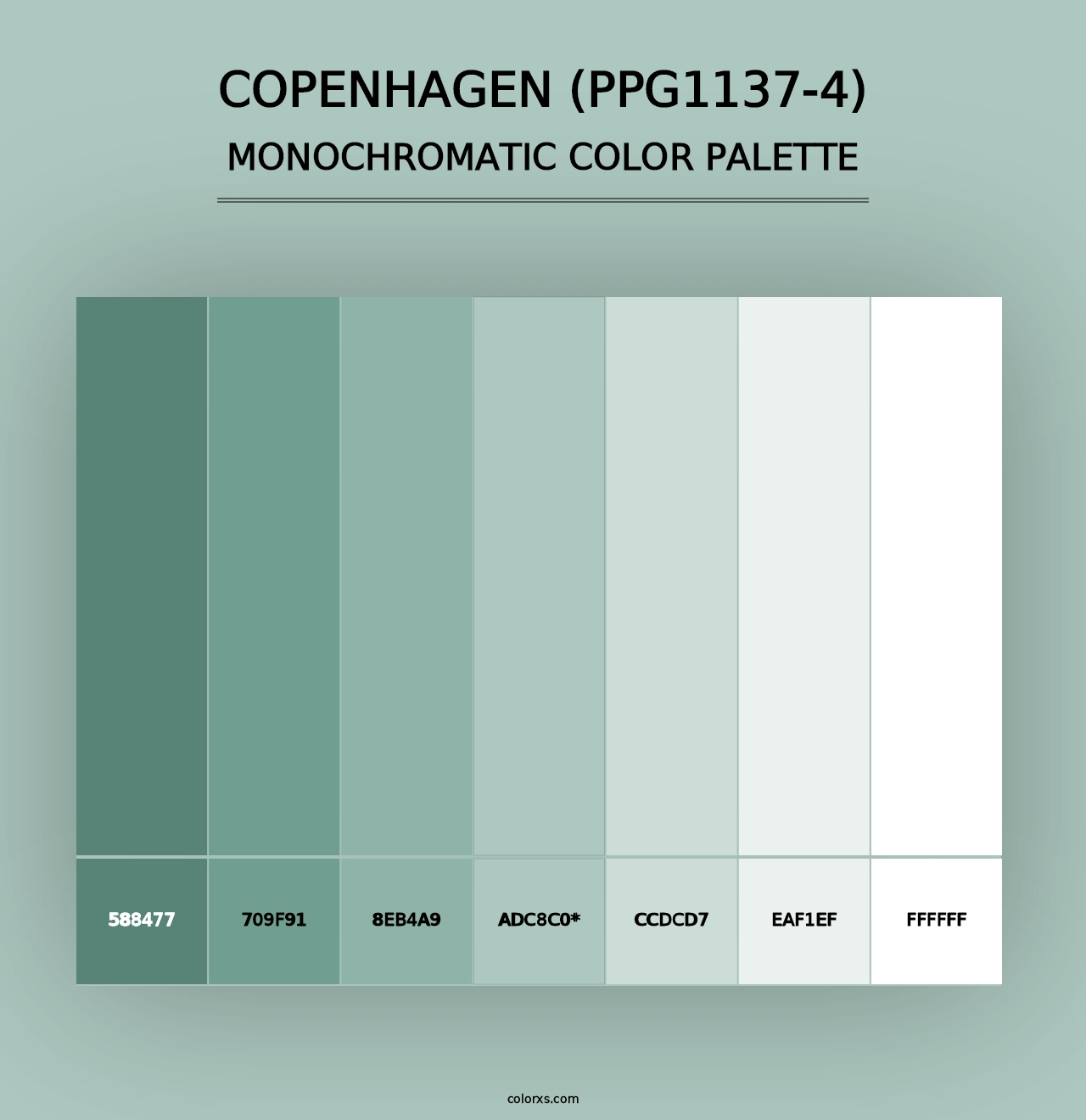 Copenhagen (PPG1137-4) - Monochromatic Color Palette