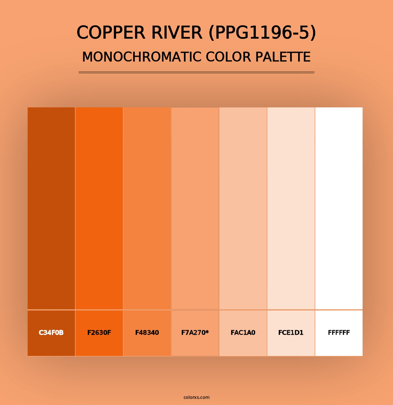 Copper River (PPG1196-5) - Monochromatic Color Palette