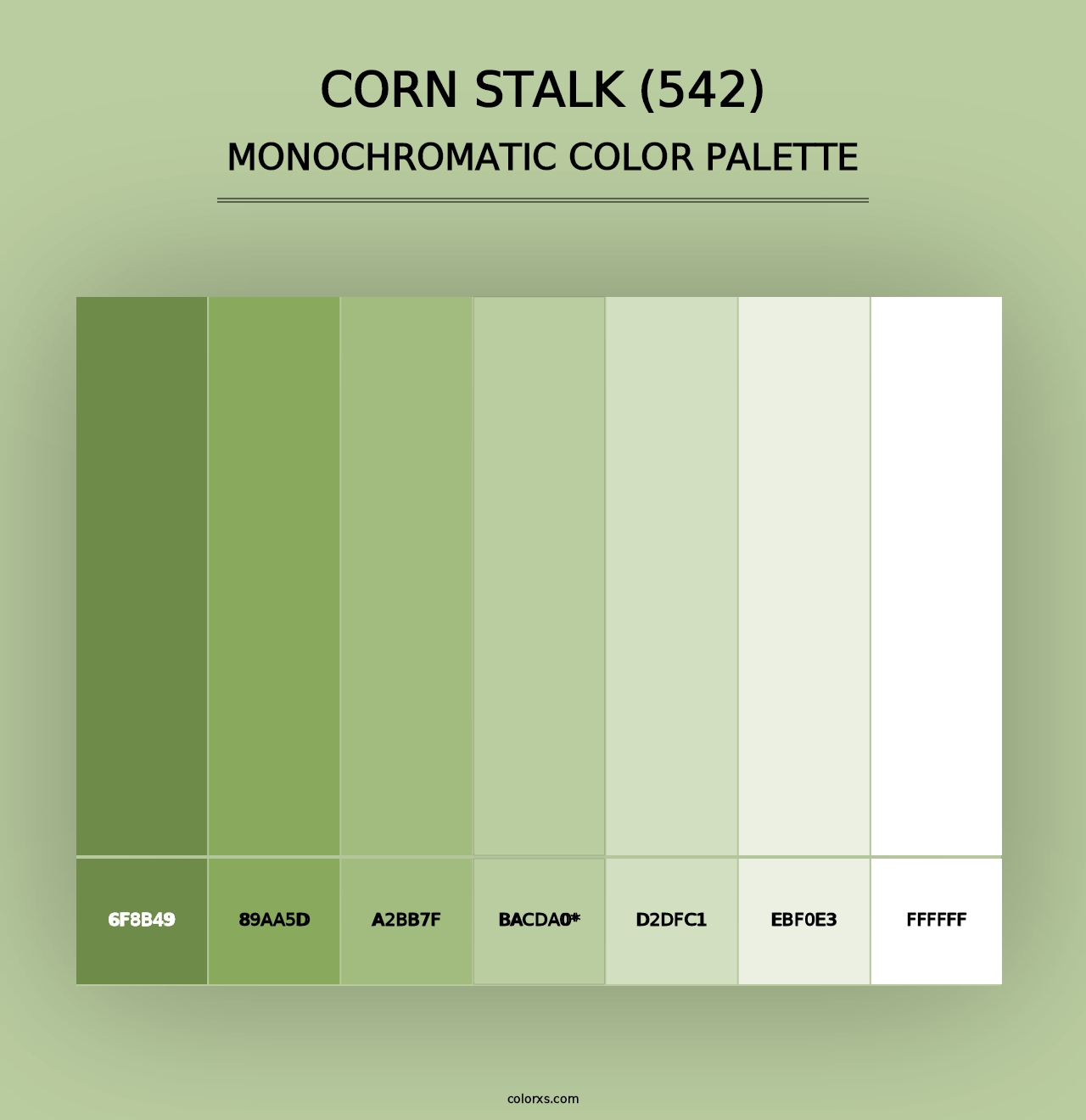 Corn Stalk (542) - Monochromatic Color Palette