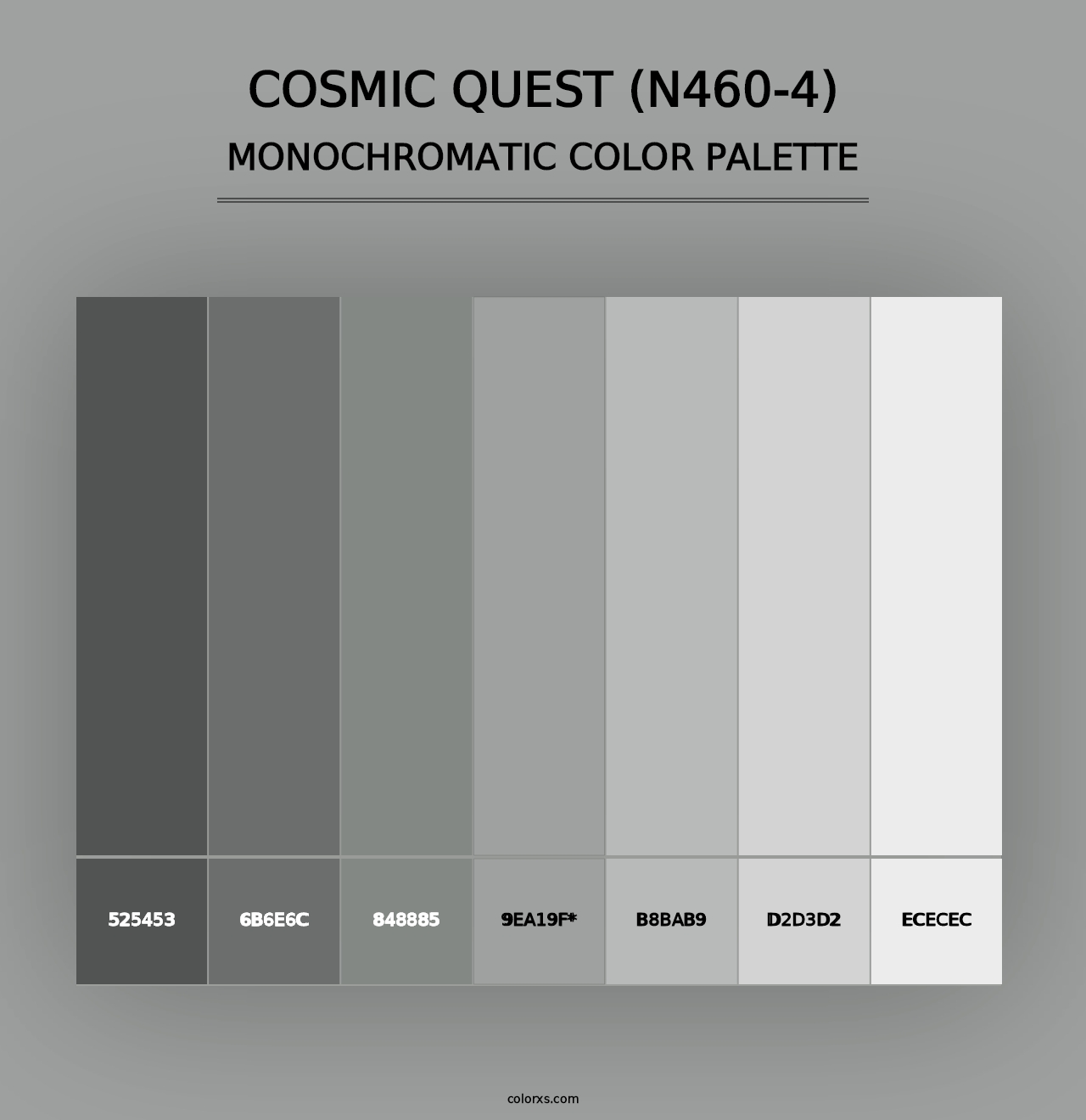 Cosmic Quest (N460-4) - Monochromatic Color Palette