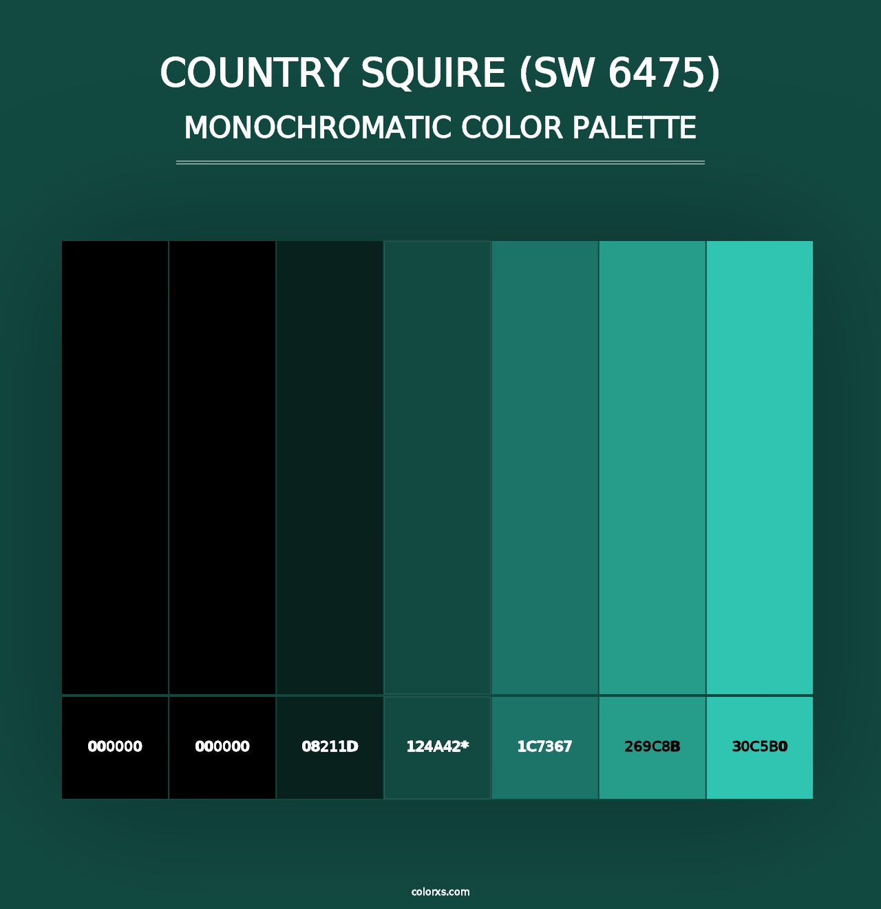 Country Squire (SW 6475) - Monochromatic Color Palette