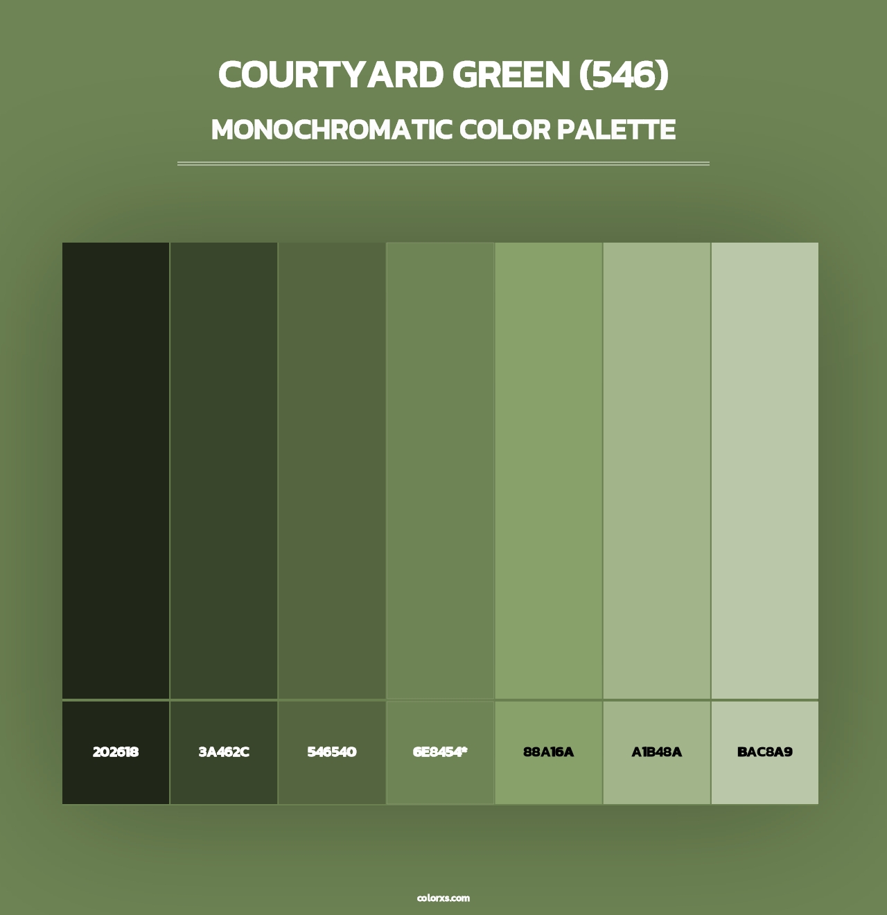 Courtyard Green (546) - Monochromatic Color Palette