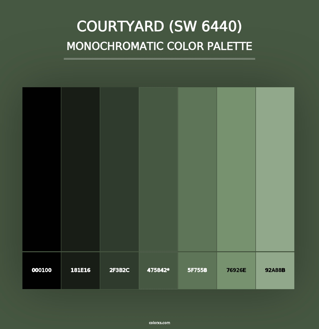 Courtyard (SW 6440) - Monochromatic Color Palette