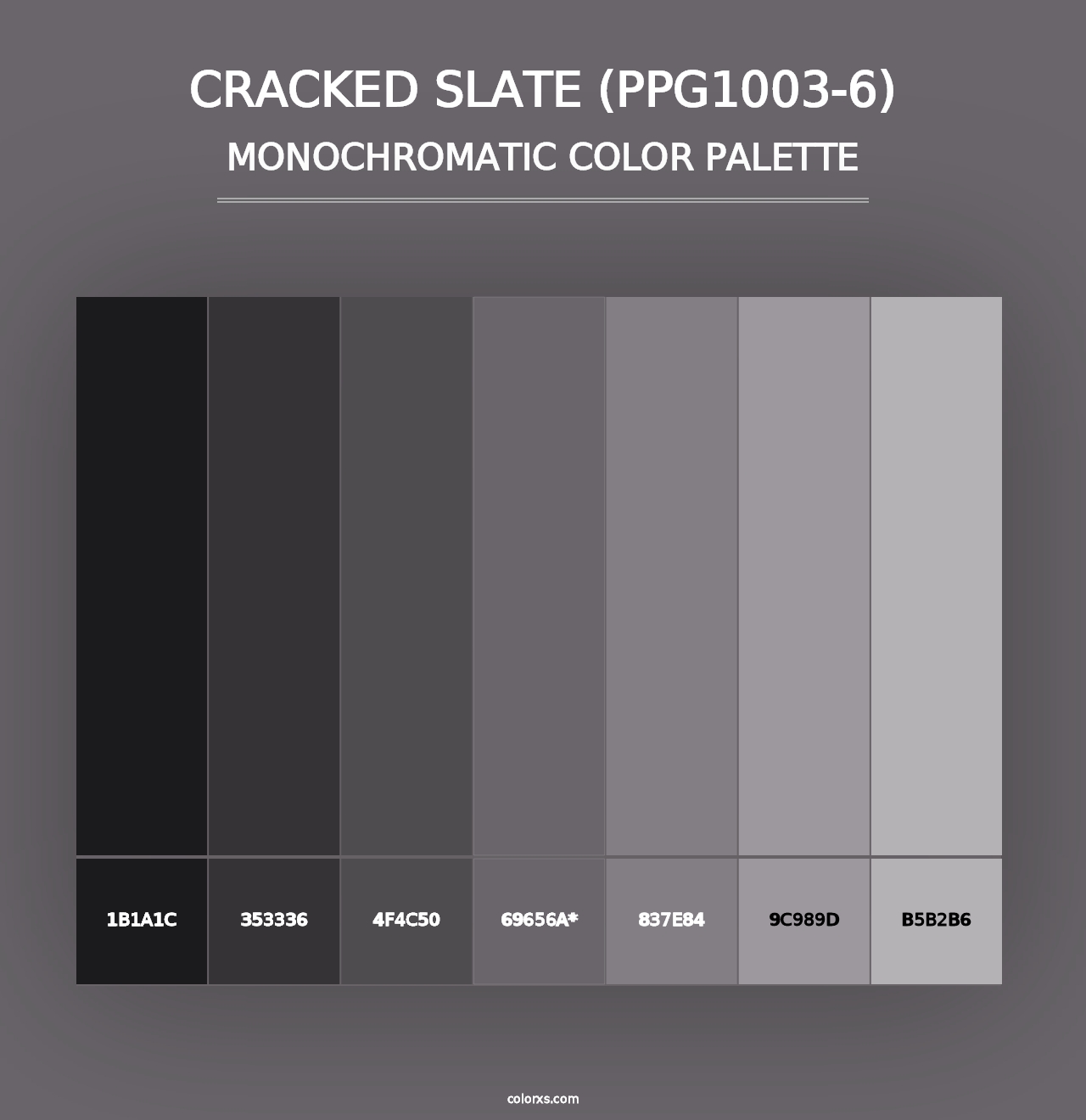 Cracked Slate (PPG1003-6) - Monochromatic Color Palette