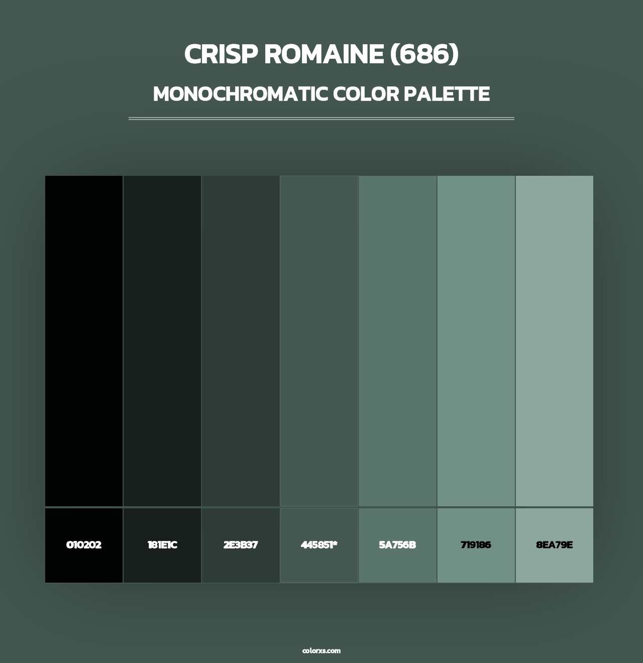 Crisp Romaine (686) - Monochromatic Color Palette