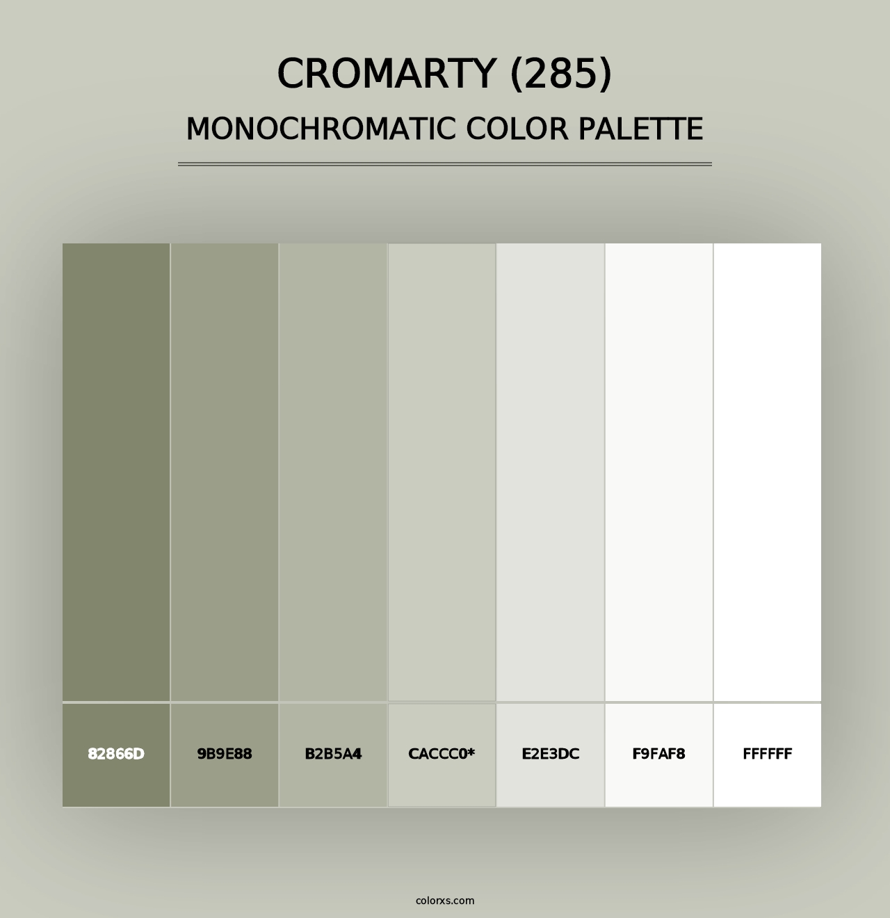 Cromarty (285) - Monochromatic Color Palette