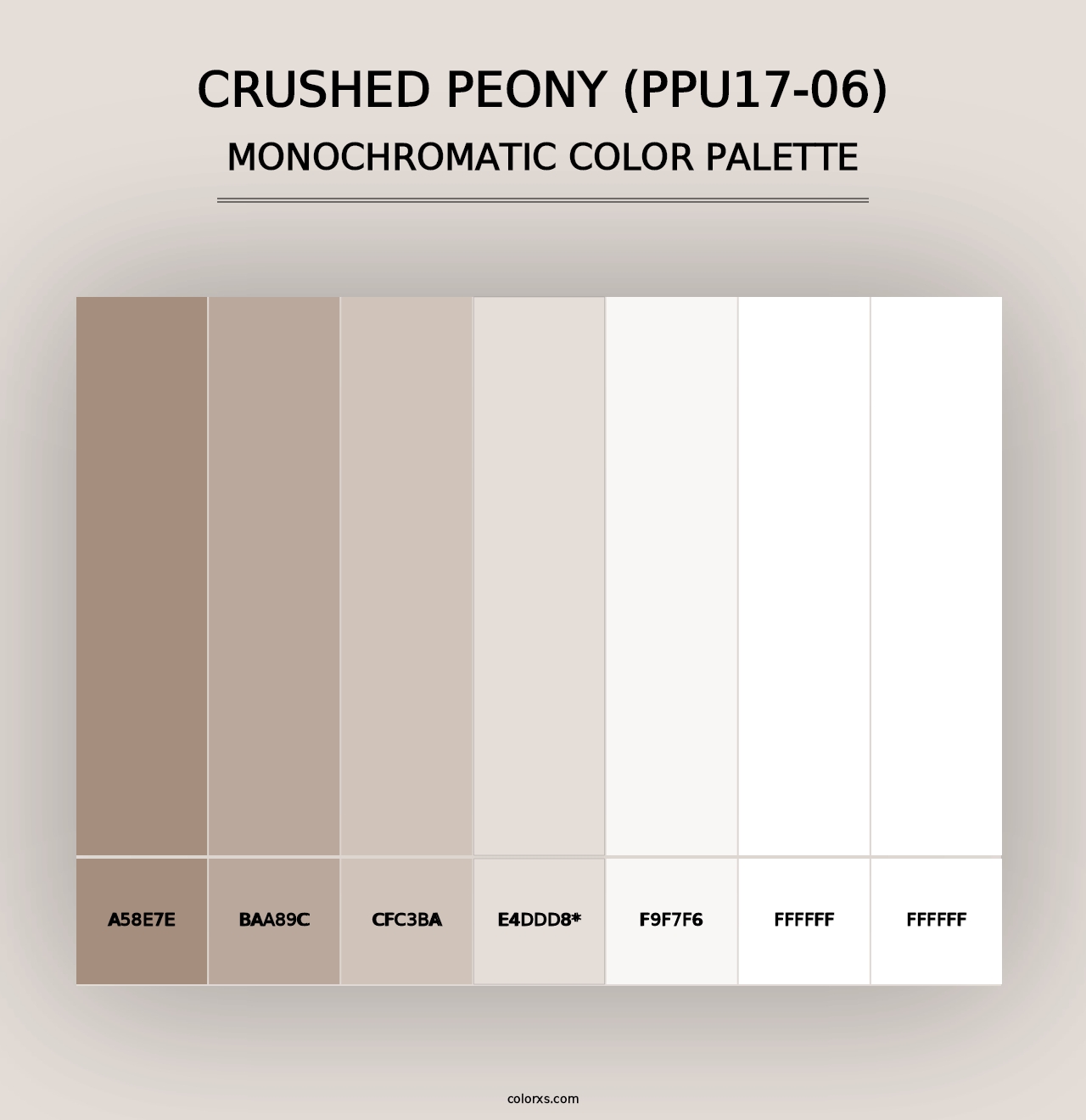 Crushed Peony (PPU17-06) - Monochromatic Color Palette