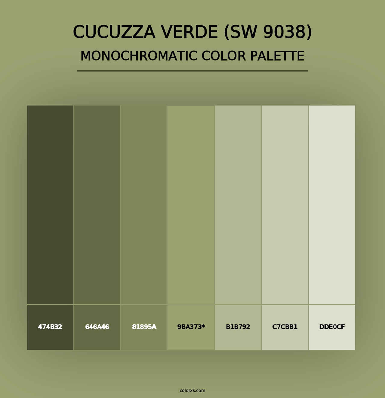 Cucuzza Verde (SW 9038) - Monochromatic Color Palette