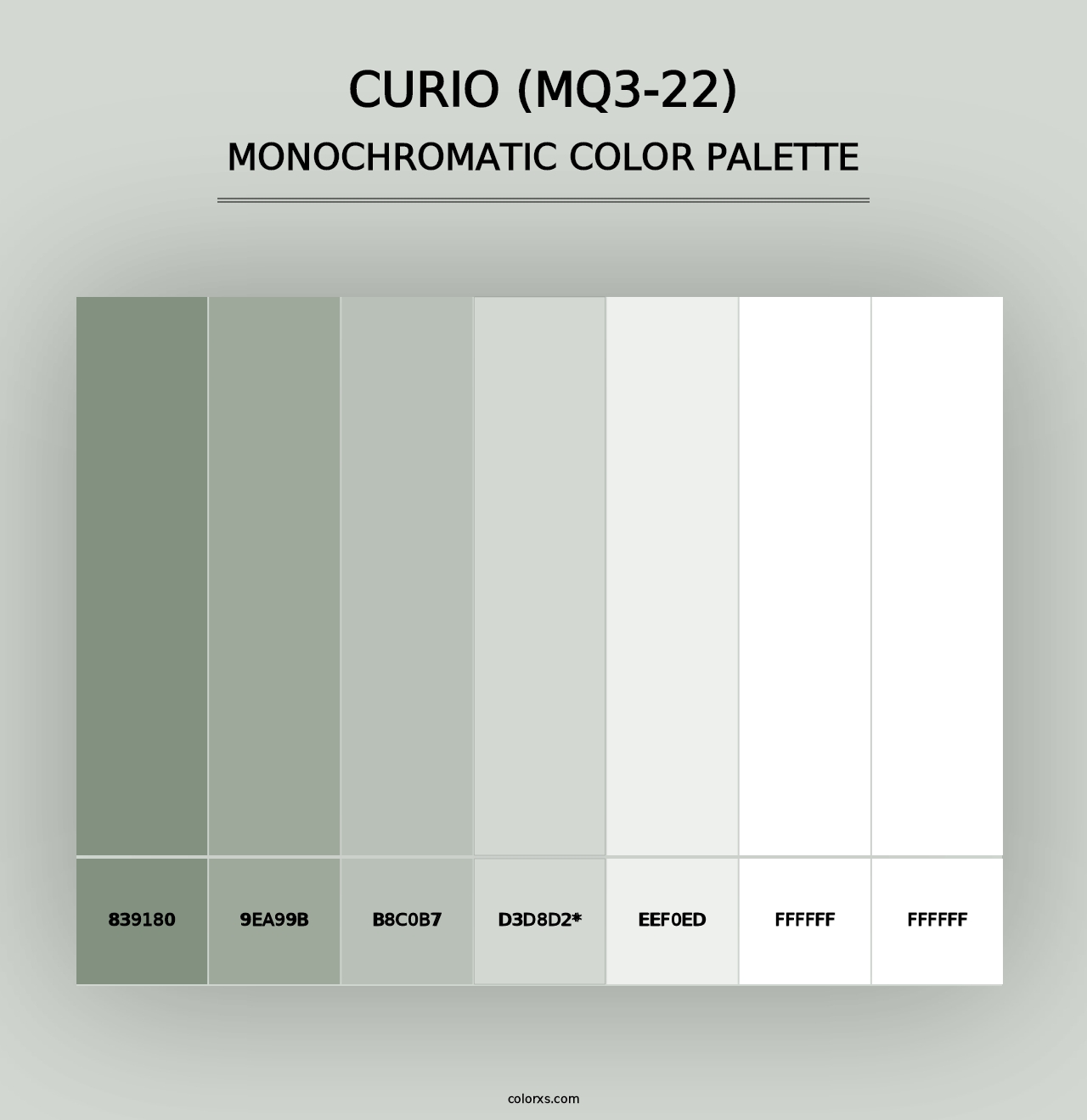 Curio (MQ3-22) - Monochromatic Color Palette