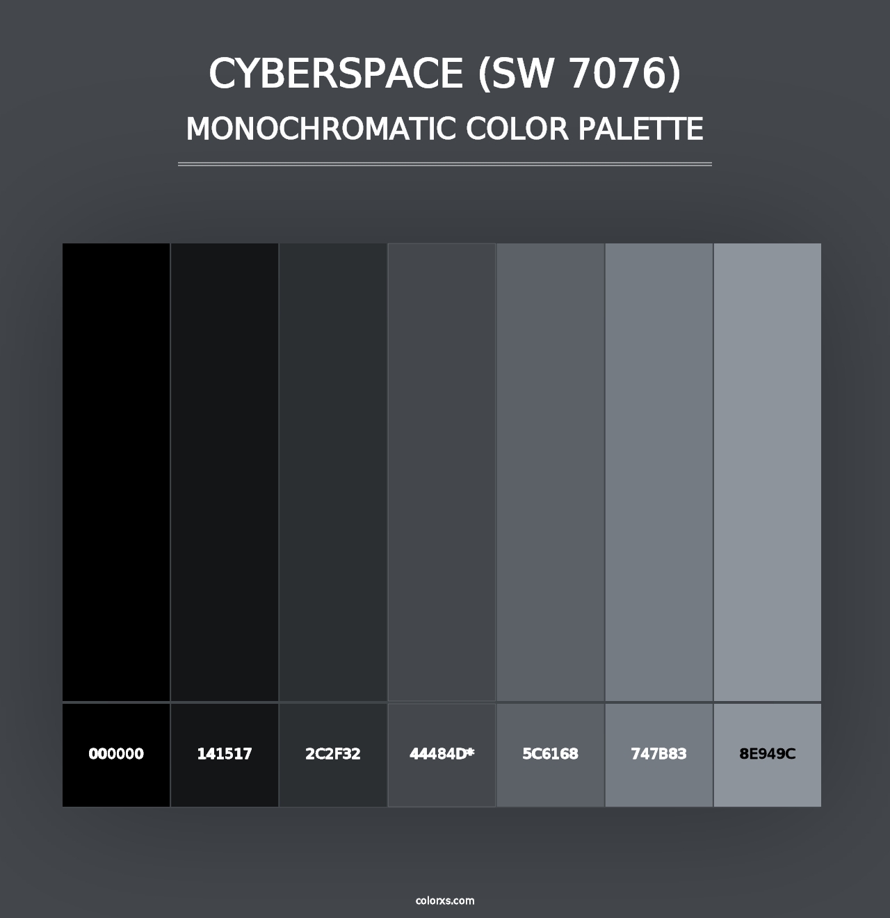 Cyberspace (SW 7076) - Monochromatic Color Palette