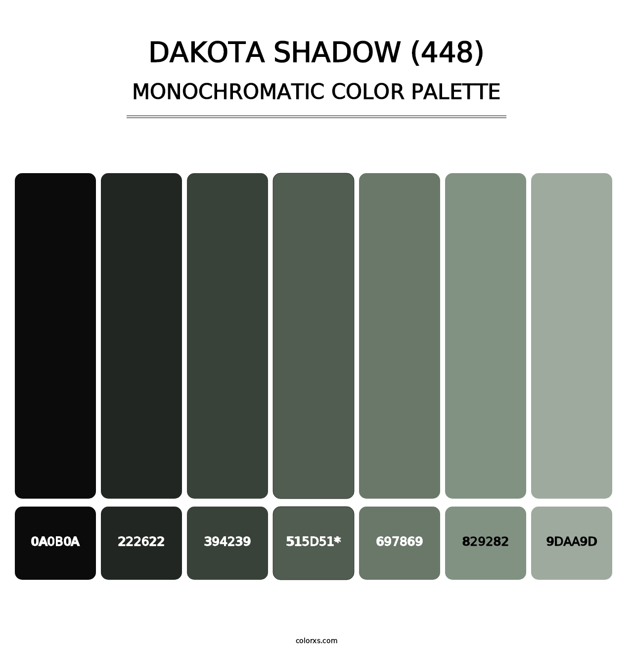 Dakota Shadow (448) - Monochromatic Color Palette