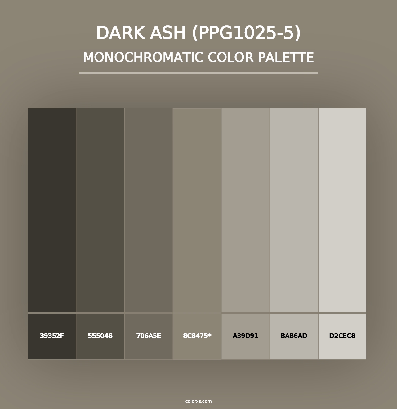 Dark Ash (PPG1025-5) - Monochromatic Color Palette