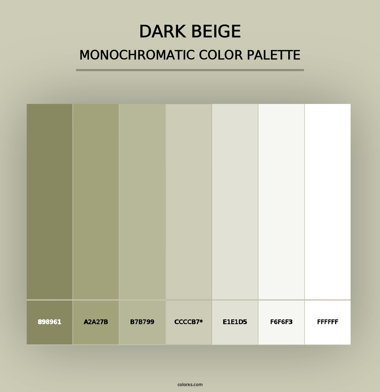 Dark Beige - Monochromatic Color Palette