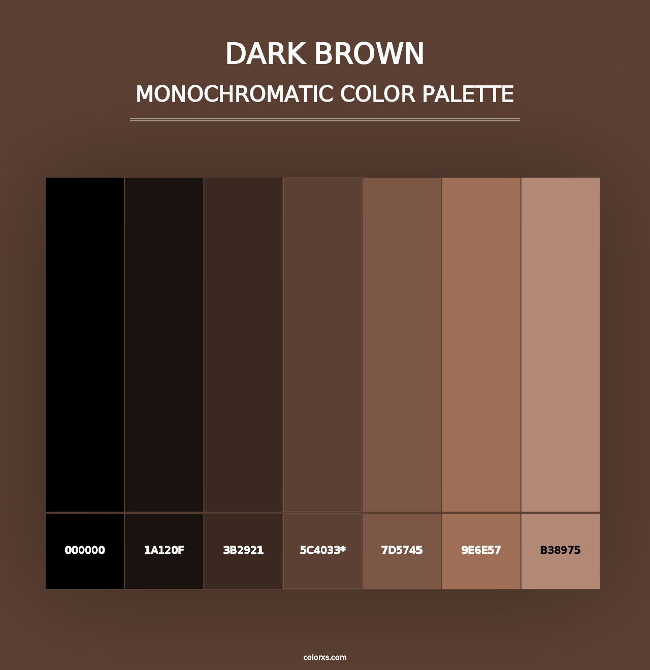 Dark Brown - Monochromatic Color Palette