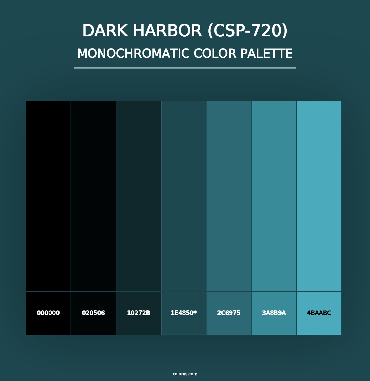 Dark Harbor (CSP-720) - Monochromatic Color Palette