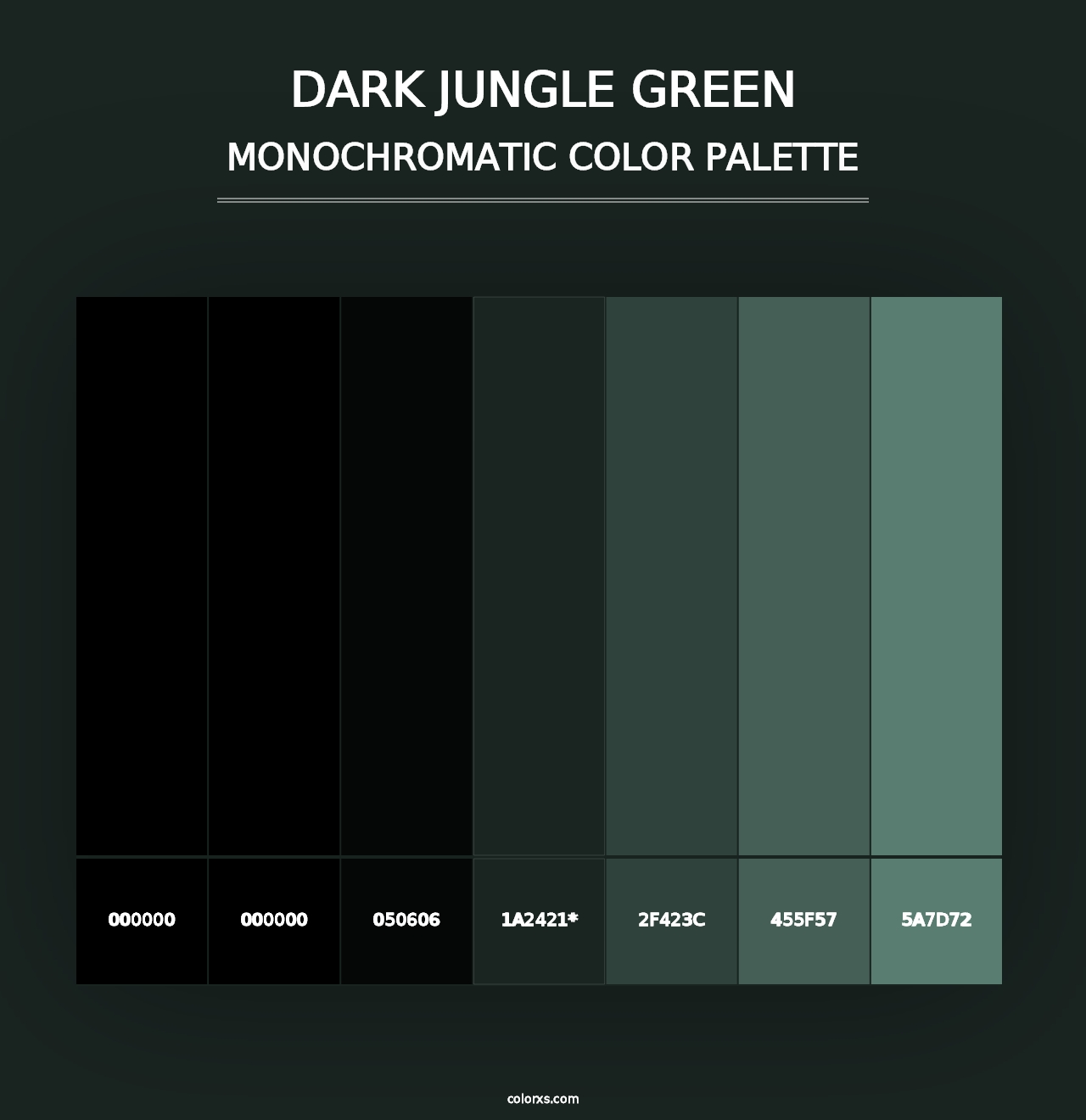 Dark Jungle Green - Monochromatic Color Palette