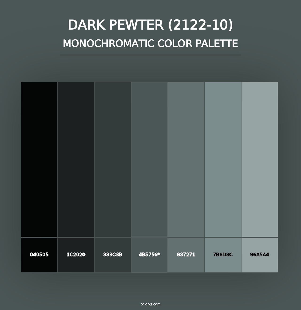 Dark Pewter (2122-10) - Monochromatic Color Palette