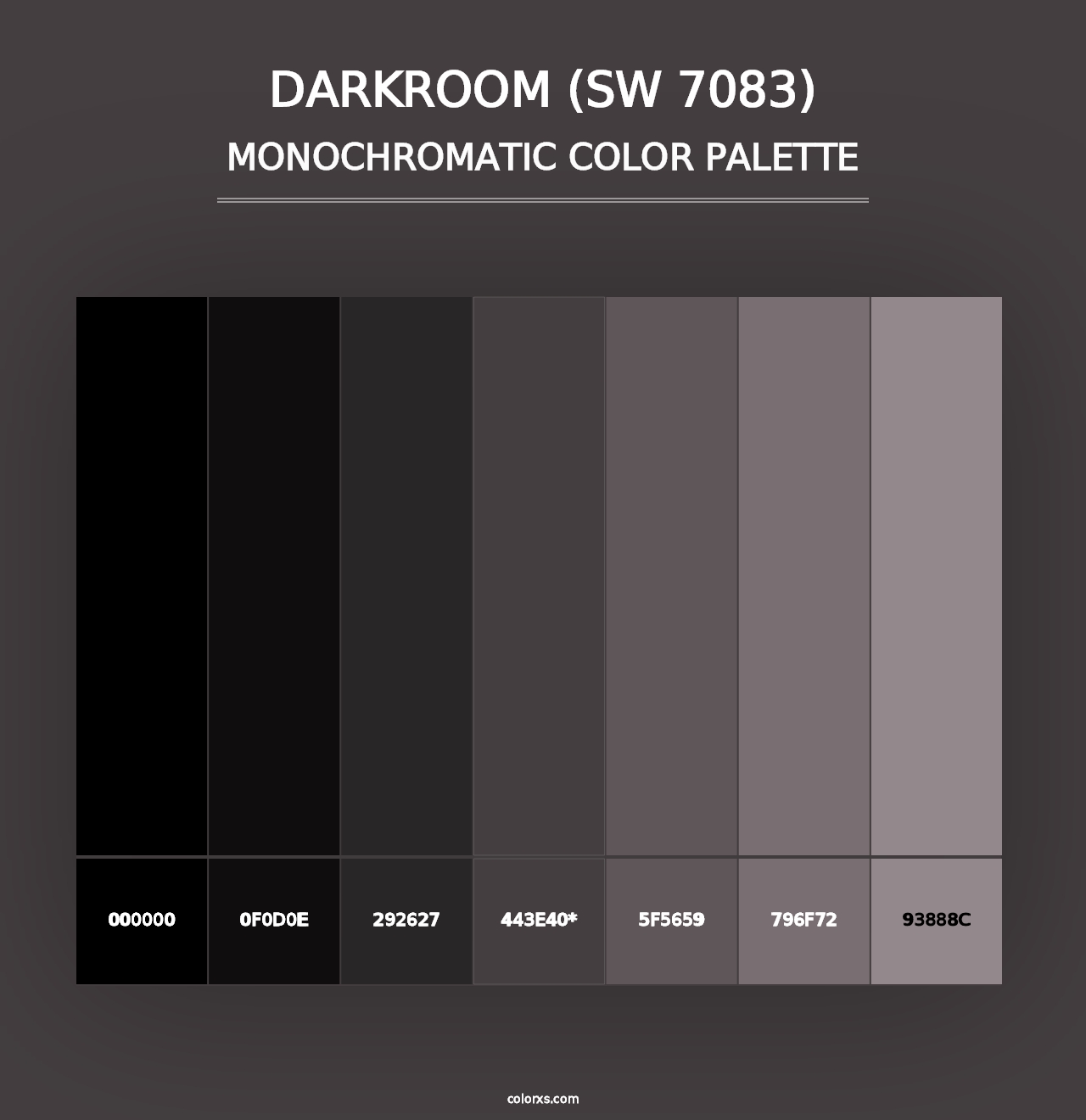 Darkroom (SW 7083) - Monochromatic Color Palette