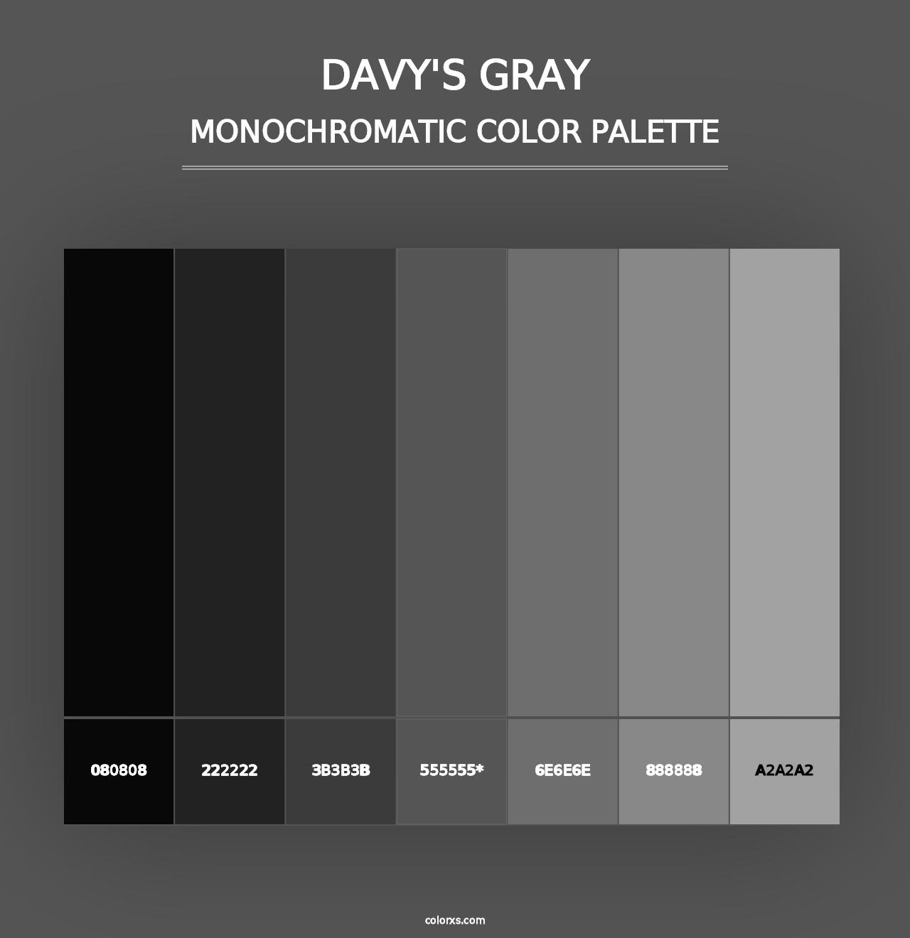 Davy's gray - Monochromatic Color Palette