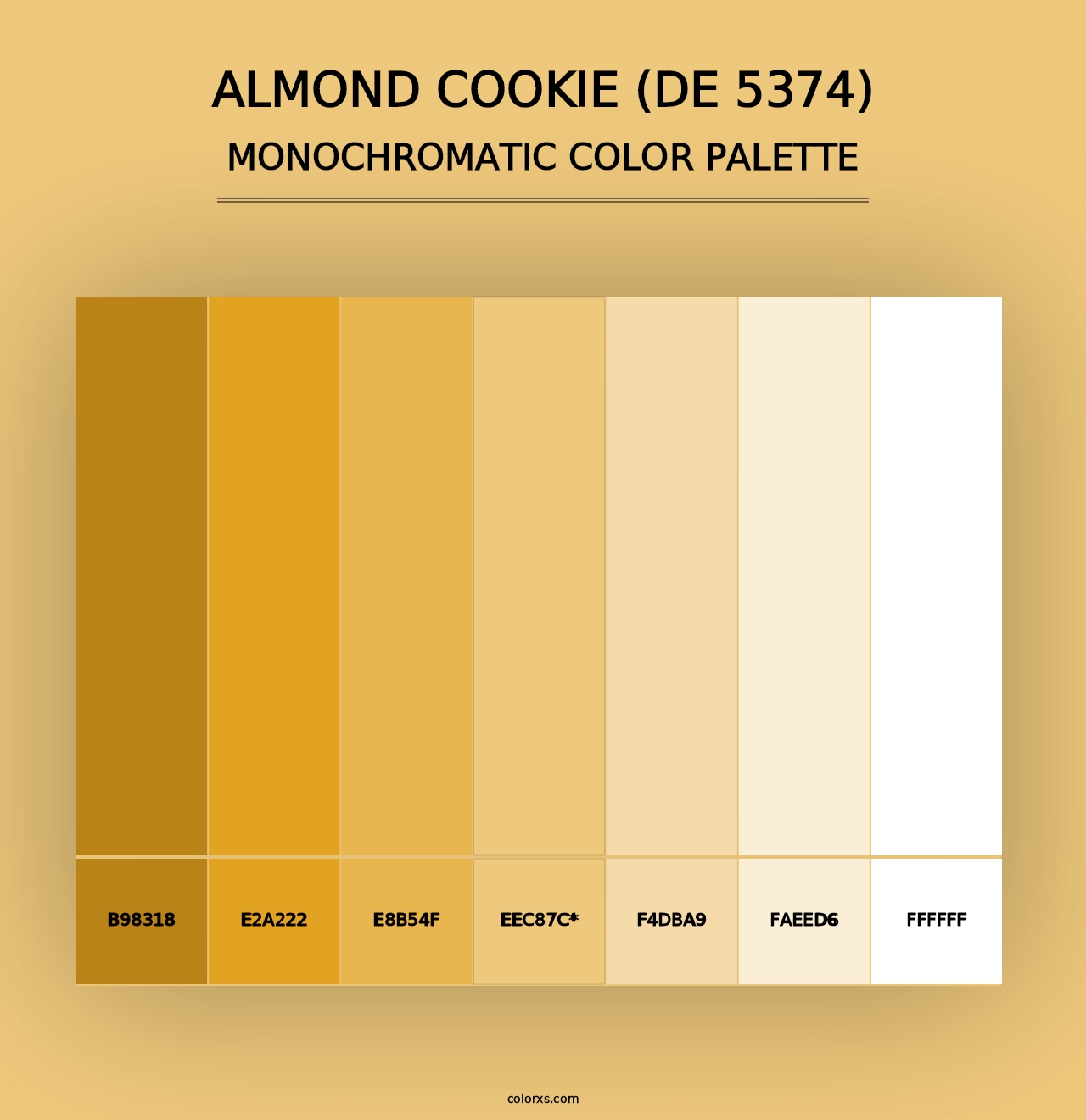 Almond Cookie (DE 5374) - Monochromatic Color Palette