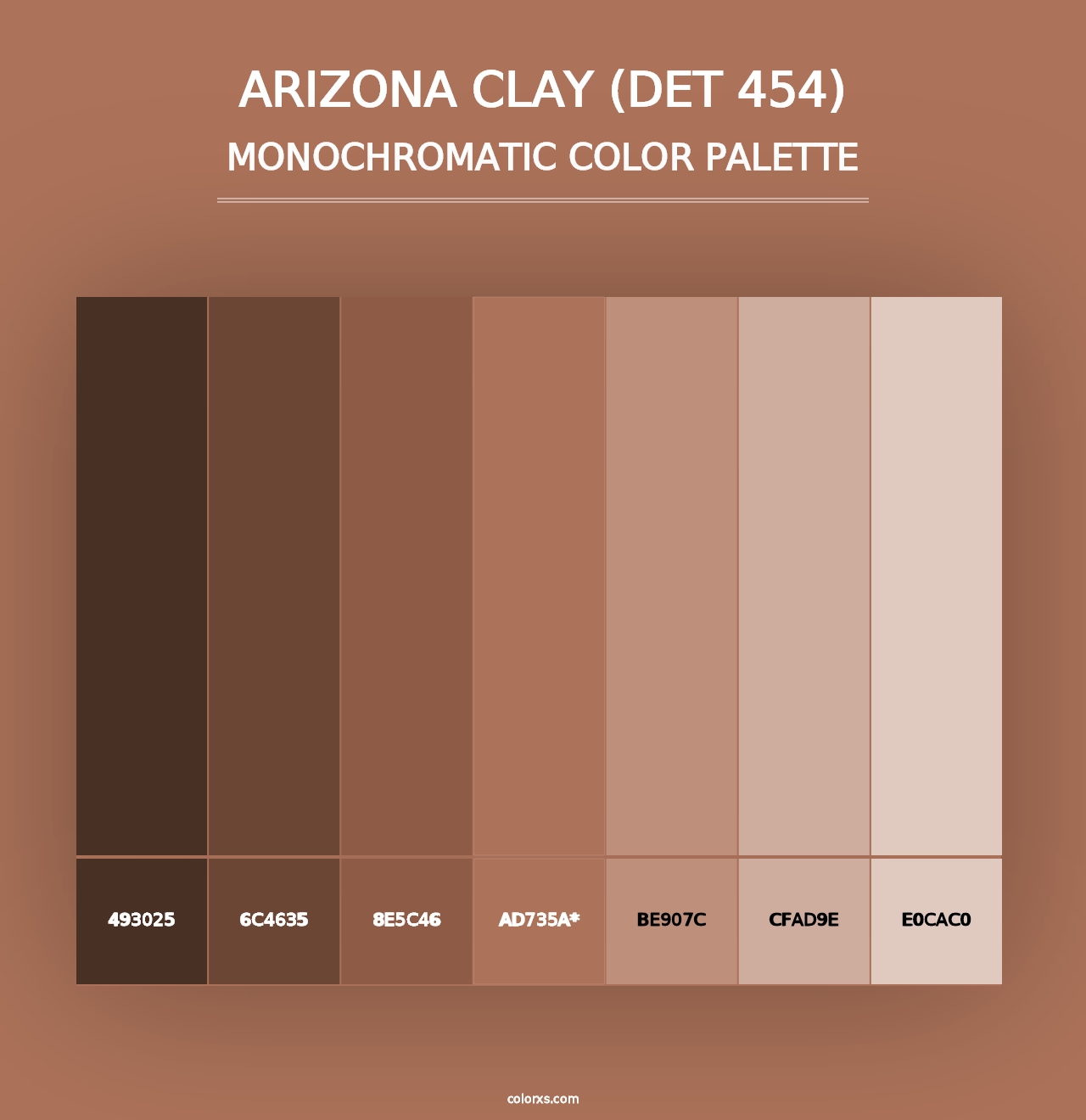 Arizona Clay (DET 454) - Monochromatic Color Palette