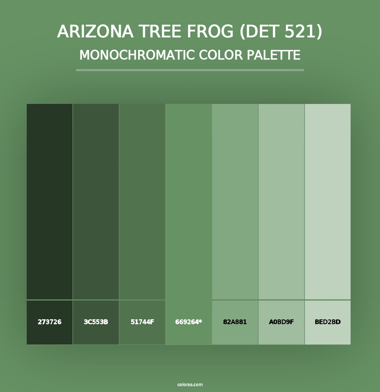 Arizona Tree Frog (DET 521) - Monochromatic Color Palette