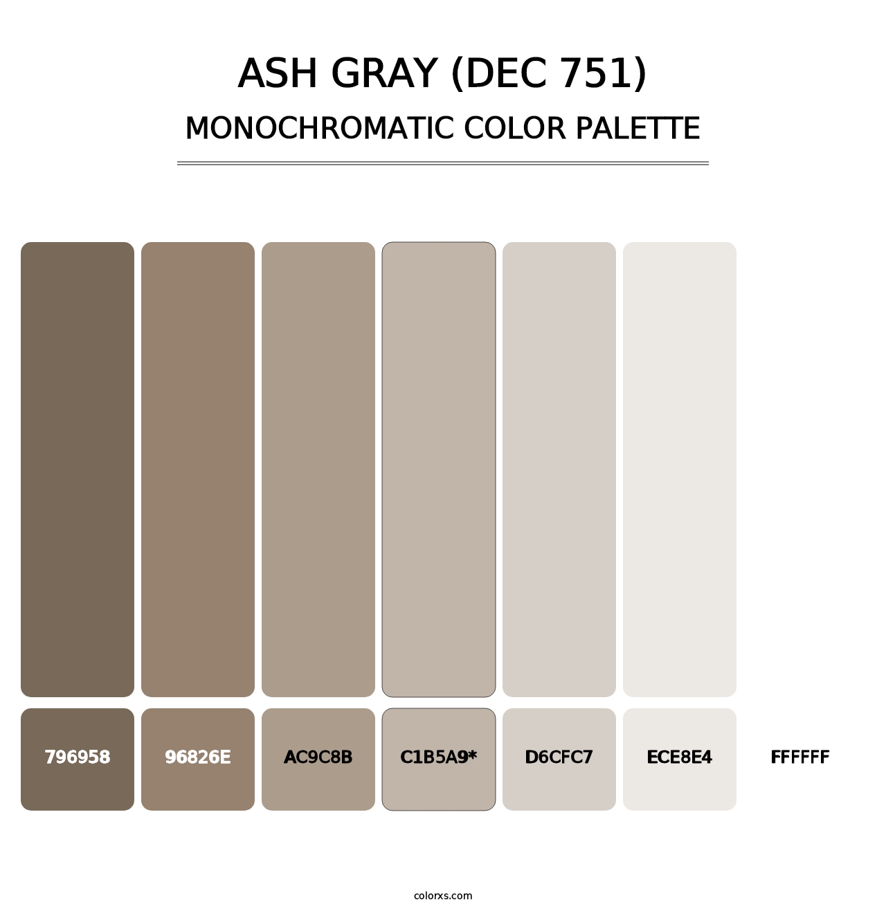 Ash Gray (DEC 751) - Monochromatic Color Palette