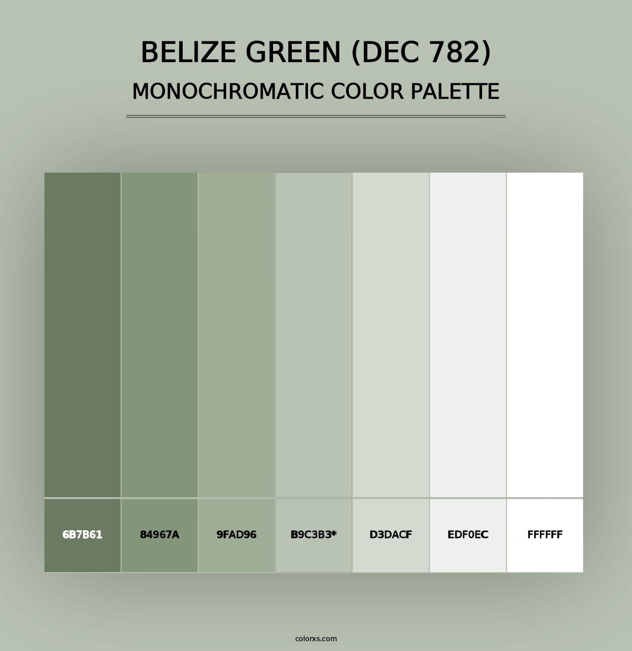 Belize Green (DEC 782) - Monochromatic Color Palette