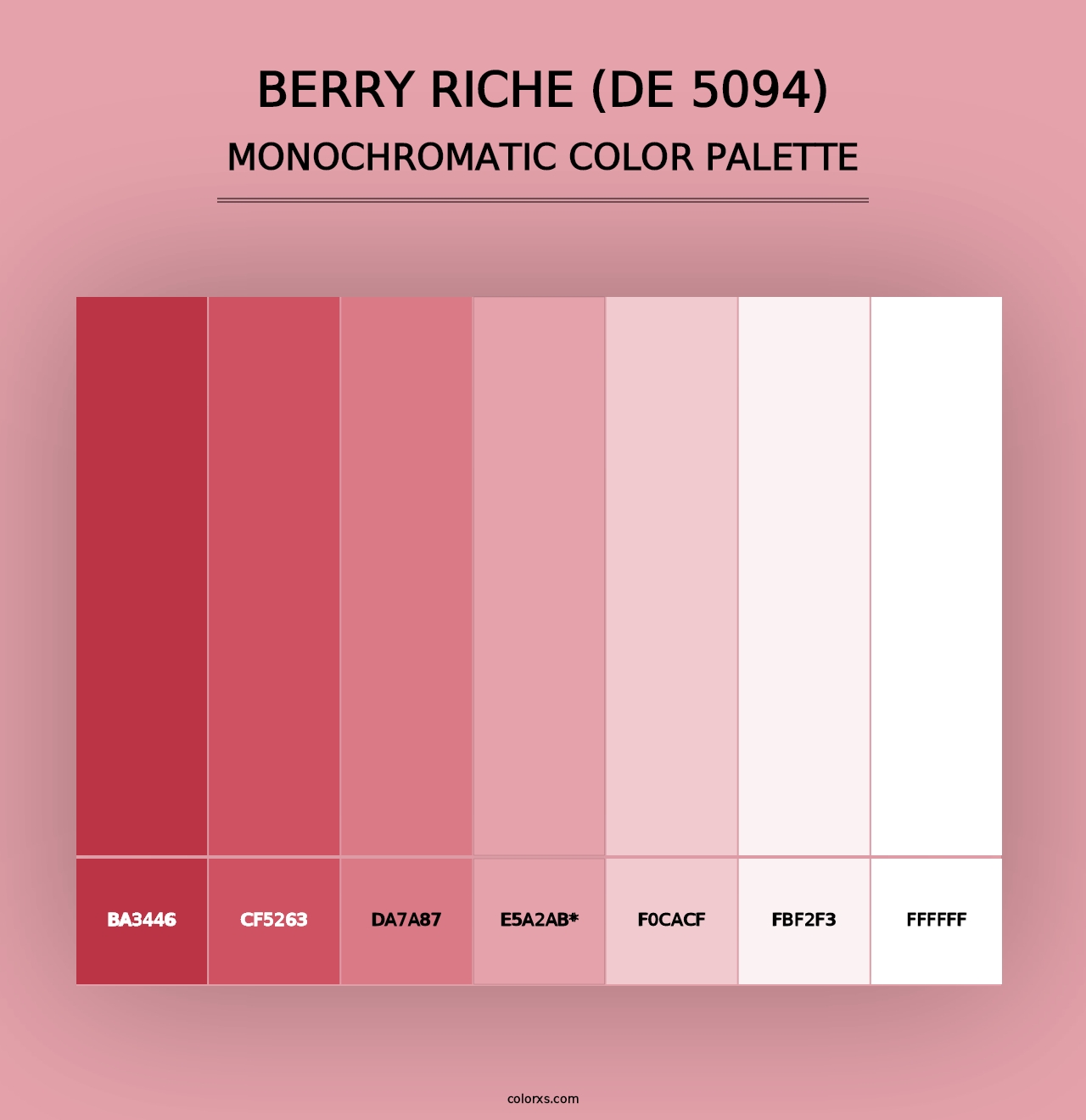 Berry Riche (DE 5094) - Monochromatic Color Palette