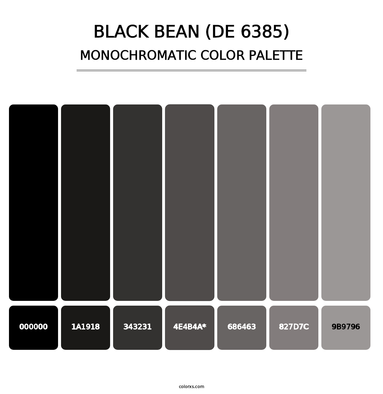 Black Bean (DE 6385) - Monochromatic Color Palette