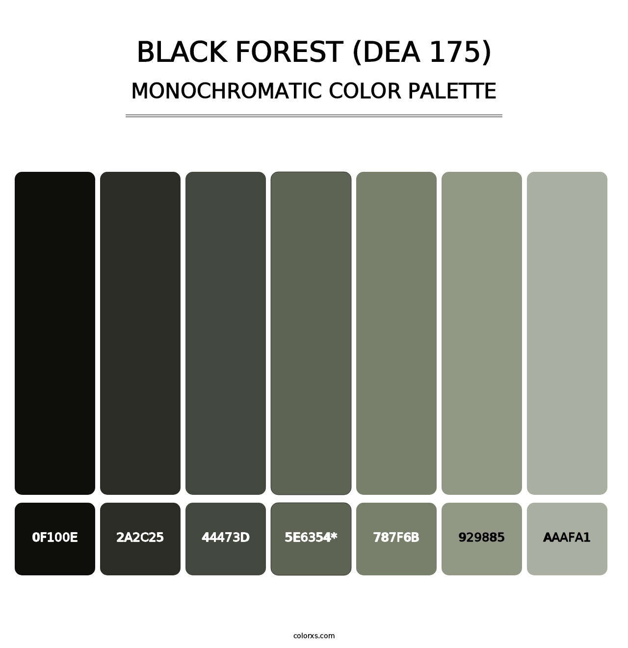 Black Forest (DEA 175) - Monochromatic Color Palette