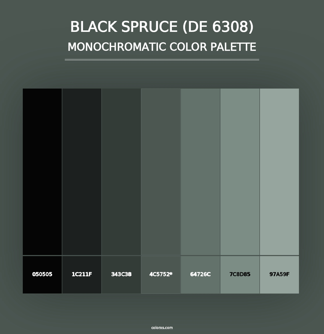 Black Spruce (DE 6308) - Monochromatic Color Palette