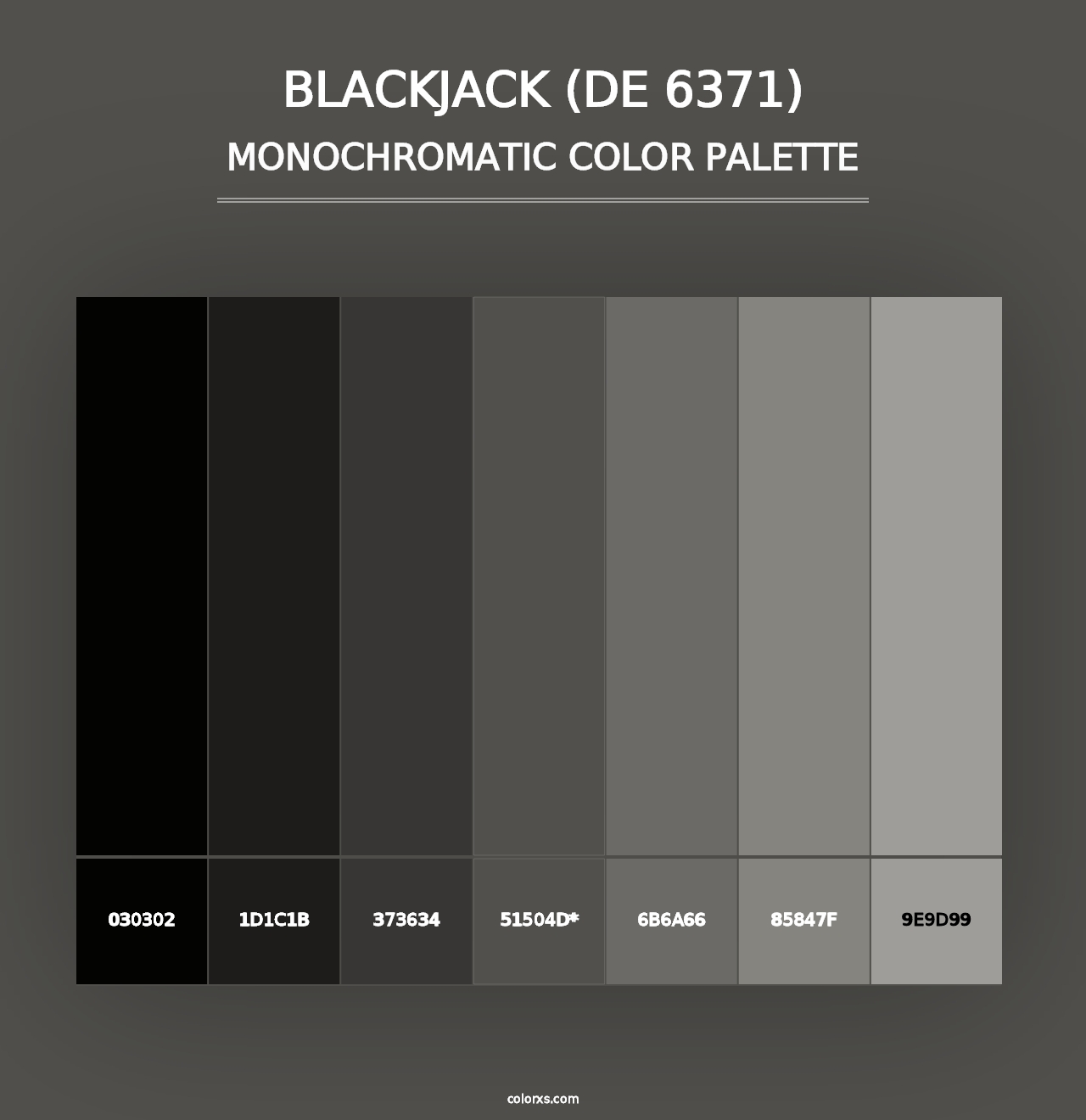 Blackjack (DE 6371) - Monochromatic Color Palette