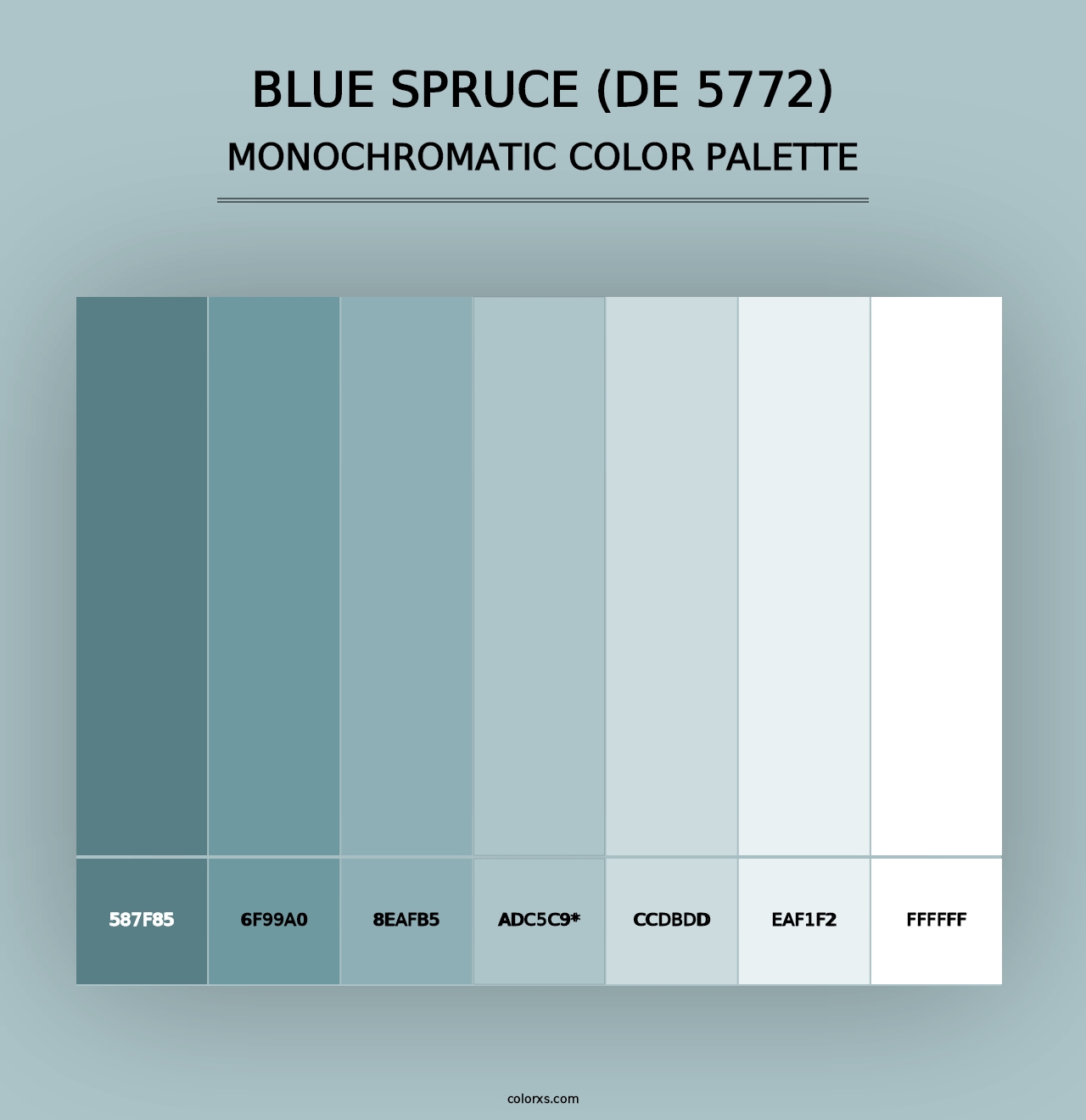 Blue Spruce (DE 5772) - Monochromatic Color Palette