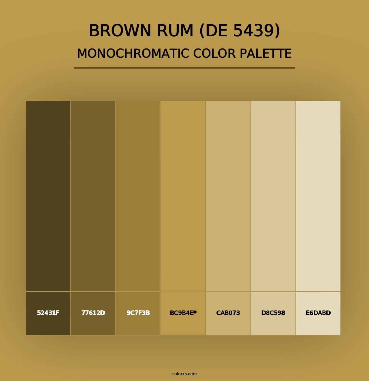 Brown Rum (DE 5439) - Monochromatic Color Palette