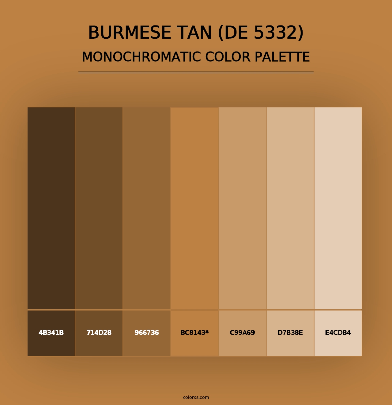 Burmese Tan (DE 5332) - Monochromatic Color Palette