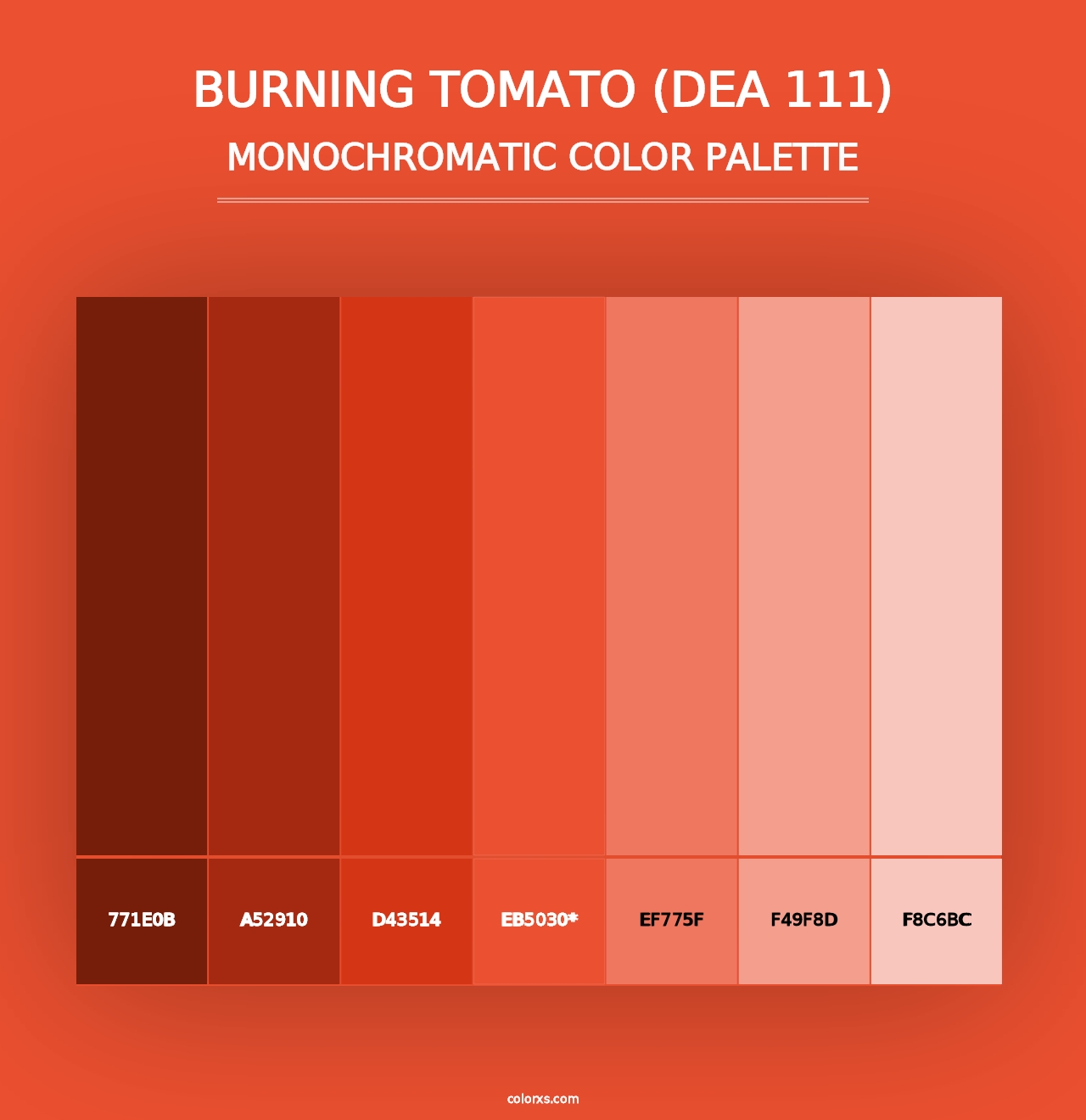 Burning Tomato (DEA 111) - Monochromatic Color Palette