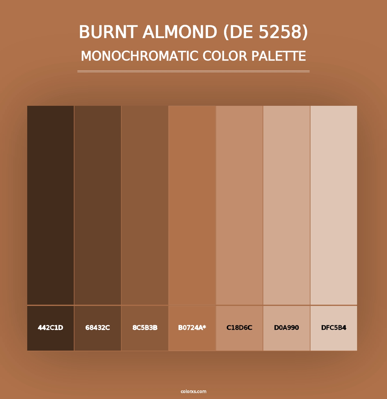 Burnt Almond (DE 5258) - Monochromatic Color Palette