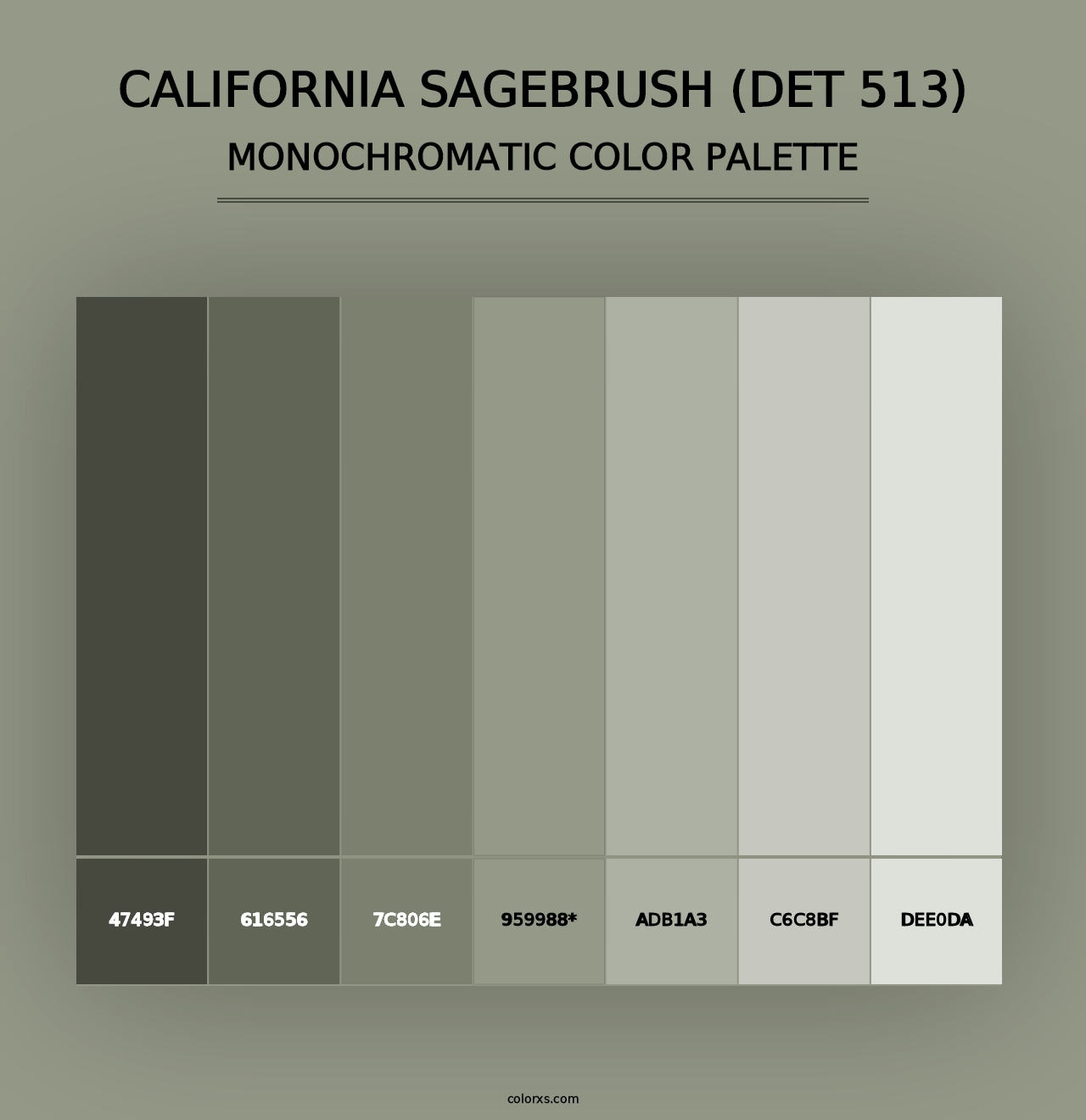 California Sagebrush (DET 513) - Monochromatic Color Palette