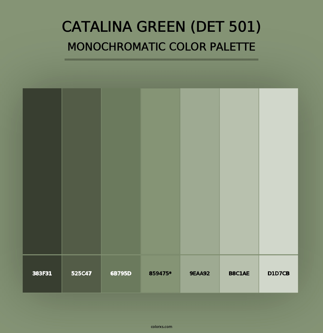 Catalina Green (DET 501) - Monochromatic Color Palette