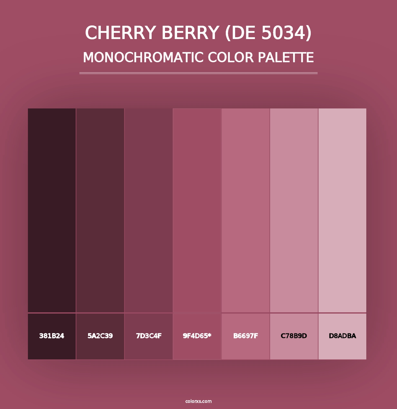 Cherry Berry (DE 5034) - Monochromatic Color Palette