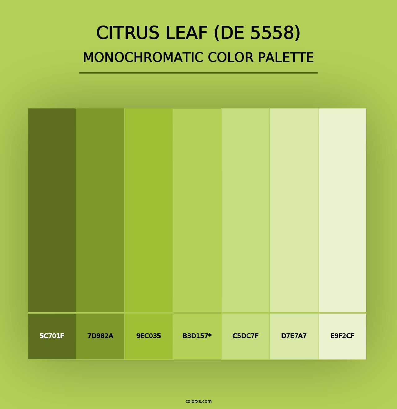 Citrus Leaf (DE 5558) - Monochromatic Color Palette