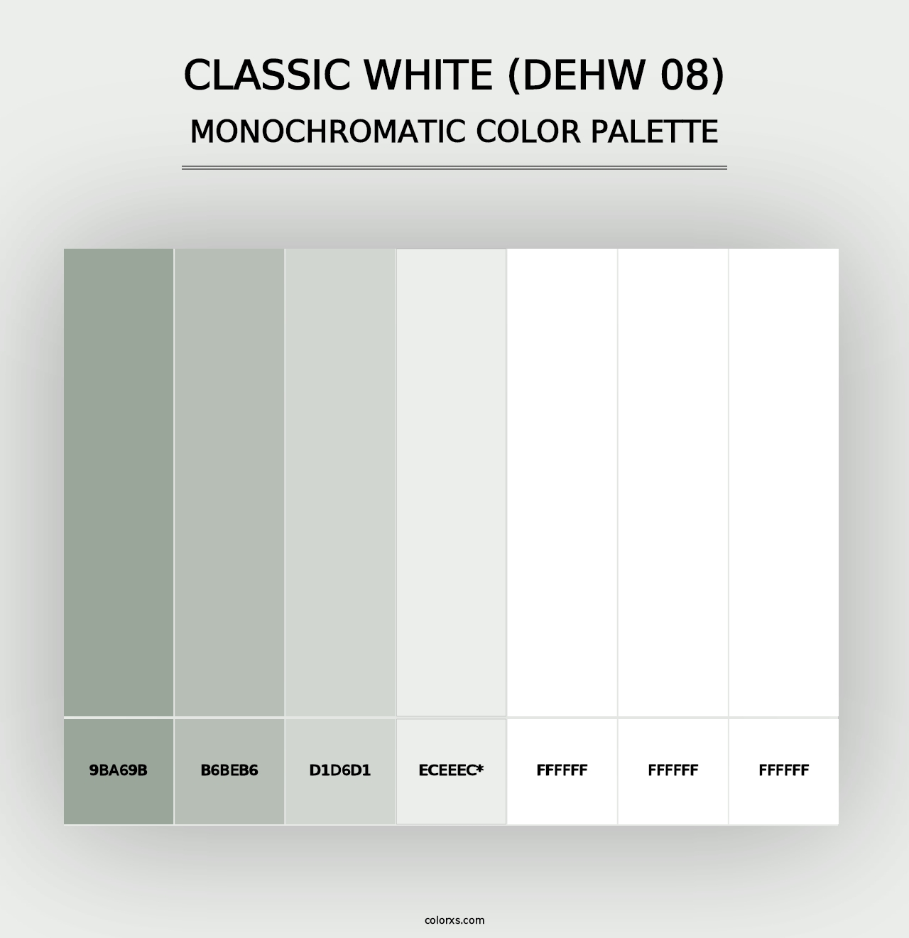 Classic White (DEHW 08) - Monochromatic Color Palette