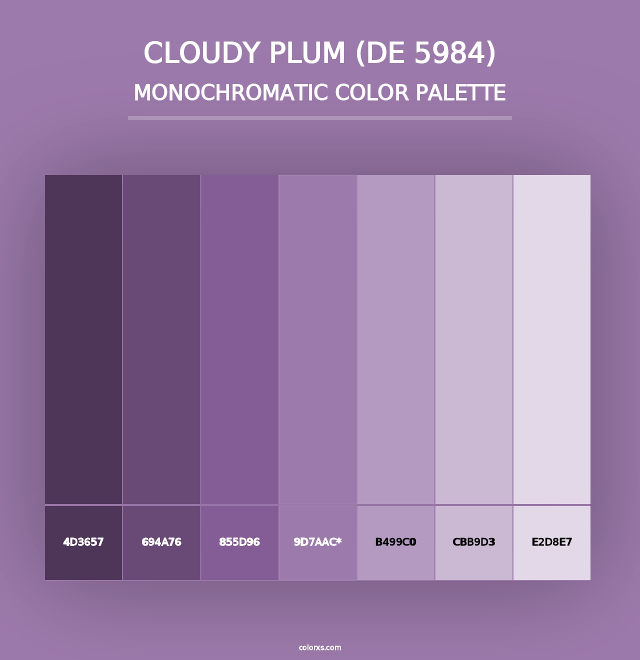 Cloudy Plum (DE 5984) - Monochromatic Color Palette