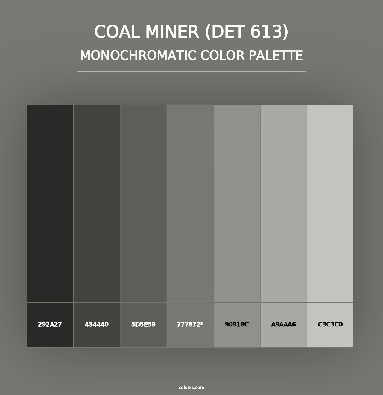 Coal Miner (DET 613) - Monochromatic Color Palette