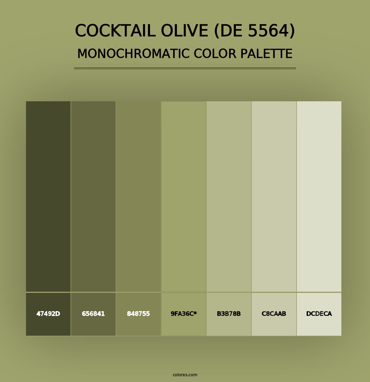 Cocktail Olive (DE 5564) - Monochromatic Color Palette