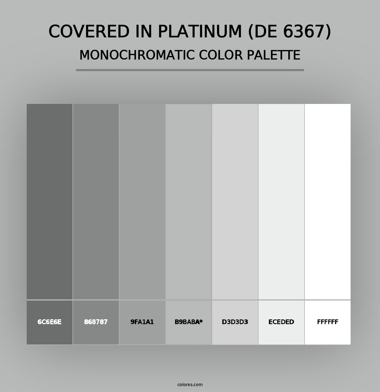 Covered in Platinum (DE 6367) - Monochromatic Color Palette