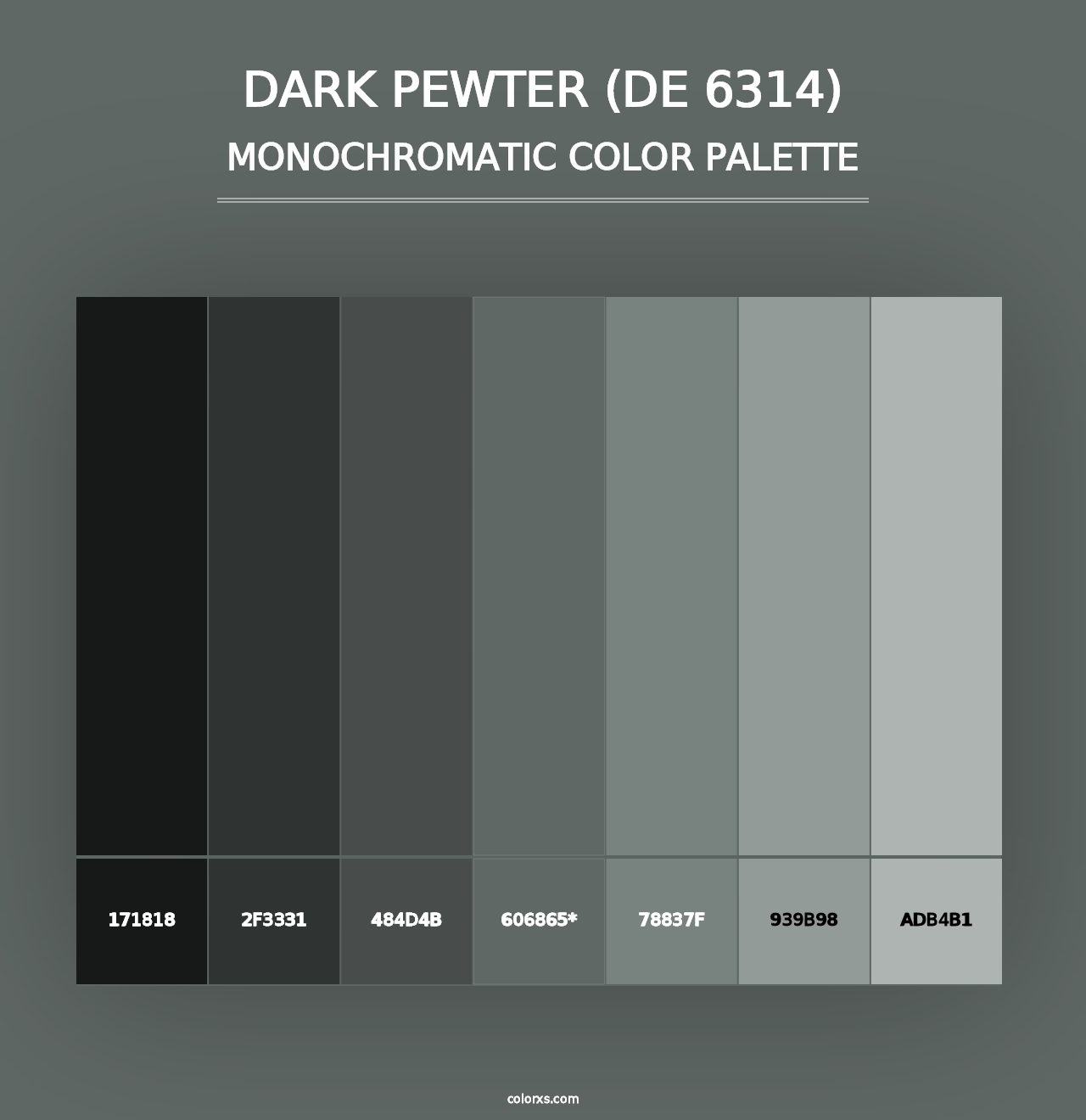 Dark Pewter (DE 6314) - Monochromatic Color Palette